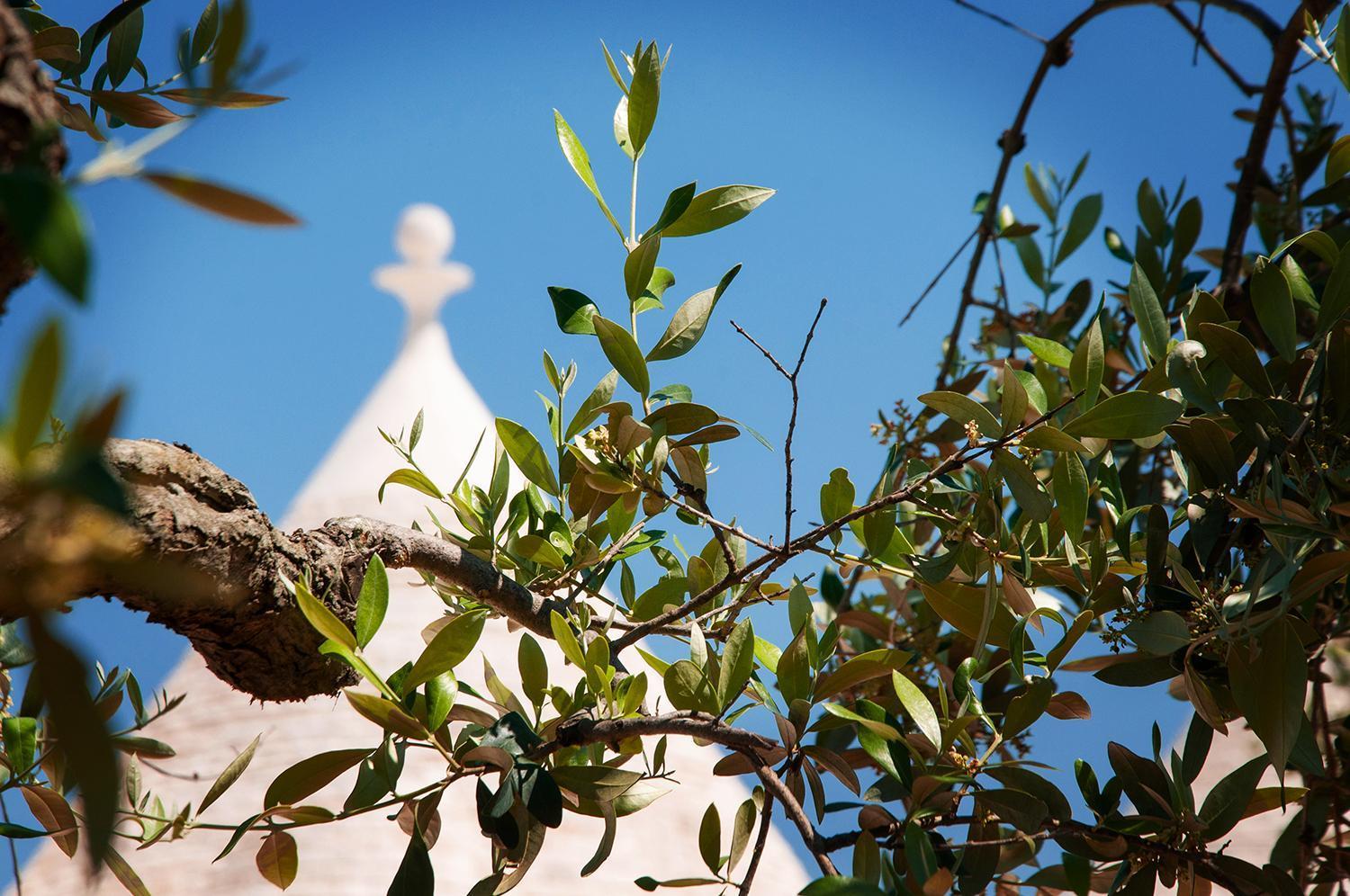 Villa Trulli Loco à Locorotondo Extérieur photo